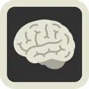 brain