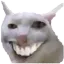 sam