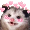 possumblush