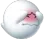 MarioShyboo