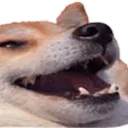 Happy_doggo2 Discord Emoji