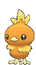 torchic