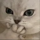 ket_oops