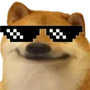 swagdoge