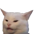 cat_huh1 Discord emoji