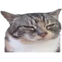 George