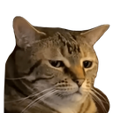 sedcat Discord emoji