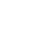 NSR_ICON