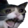 AAAAA