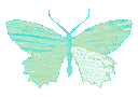 butterfly4 Discord emoji
