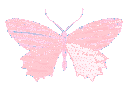butterfly3 Discord emoji