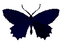 butterfly8 Discord emoji