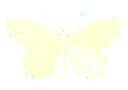 butterfly6 Discord emoji