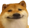 dogeHaha Discord emoji