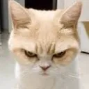 GRRRRRR