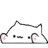 BongoBoi