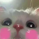 catblush