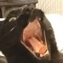 a_