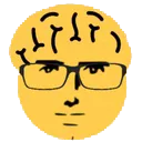 bigbrain bigbrain