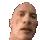 rocksus