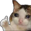 Cat_Duren