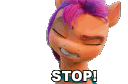 stopsunnystarscout