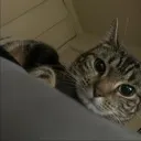 barrystare