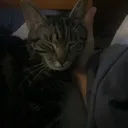 barrysleep barrysleep