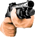 shotgun1