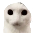 Ben