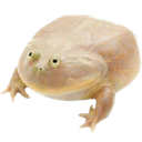 KU_ItIsWednesday Discord emoji
