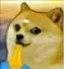 z_mbg_dandam