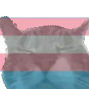 bertransbop