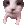 catKISS