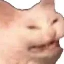 kittyyuck Discord Emoji