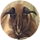 SadFloppa Discord Emoji