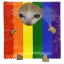 gay