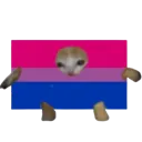 bi bi