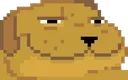 smugdog