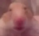 fleshprison fleshprison