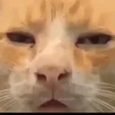 whar