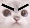 ANGEREY ANGEREY