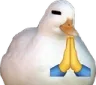 duckpray