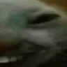 ddx2