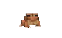 frog_flip frog_flip