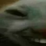 xdd