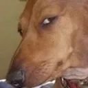 suuure suuure