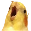 YBirb_GBC Discord emoji