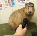 ohlawdhefamous