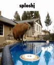splosh